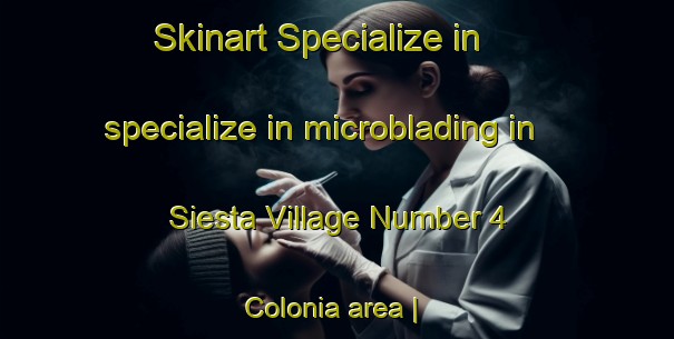 Skinart Specialize in specialize in microblading in Siesta Village Number 4 Colonia area | MicrobladingTraining | MicrobladingClasses | SkinartTraining-United States